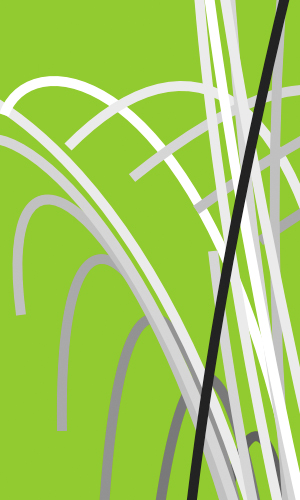 Project by Andr� Rangel
